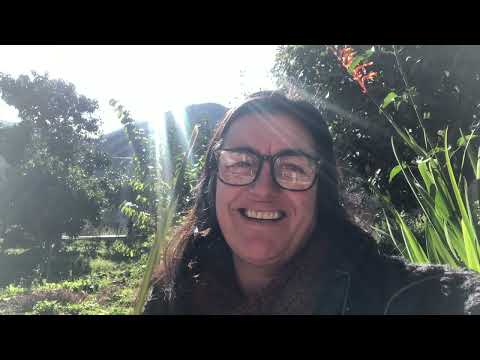 Permaculture thoughts: transition, harnessing chaos, making friends through seed swaps &amp; plant sales