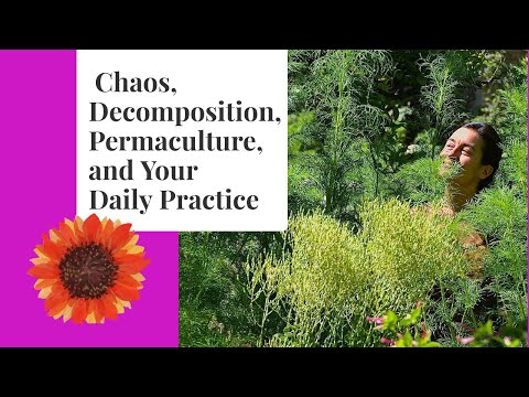chaos, decomposition, daily practice, and permaculture